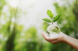hand-holding-glass-globe-ball-with-tree-growing-and-green-nature-blur-background_optimized